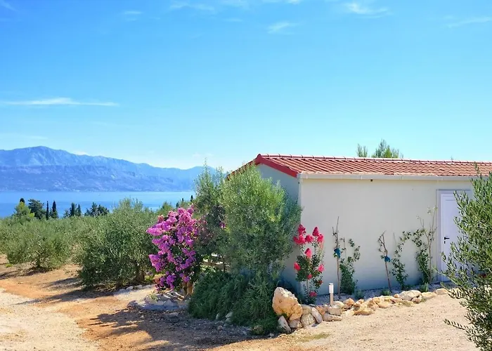 Casa vacanze Olive Garden With Hot Tub Mirce