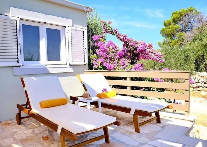 Olive Garden With Hot Tub Casa vacanze Mirce
