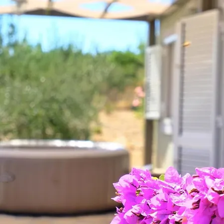 Olive Garden With Hot Tub *