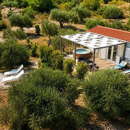 Olive Garden With Jacuzzi And Privacy