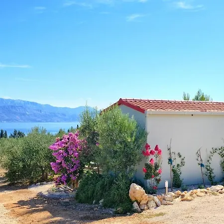 Ferienhaus Olive Garden With Hot Tub Mirce